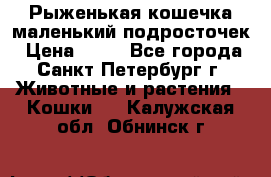 Рыженькая кошечка маленький подросточек › Цена ­ 10 - Все города, Санкт-Петербург г. Животные и растения » Кошки   . Калужская обл.,Обнинск г.